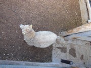 Výlet do Ekocentra MB - Spižírna